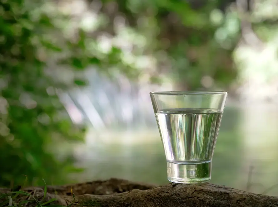 A clear glass of fresh drinking water set against a natural outdoor backdrop, symbolizing pure water produced by ECHOTec desalination systems.