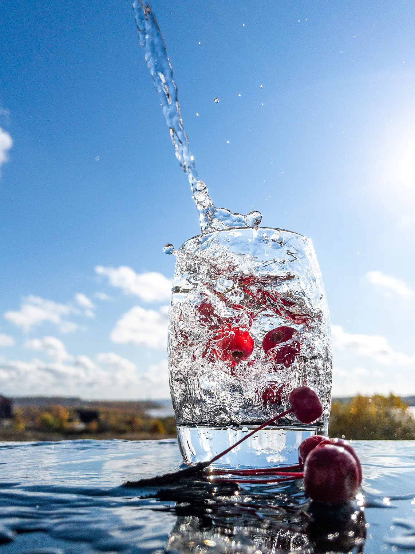 red-berries-in-a-glass-with-pouring-water-2024-12-06-14-53-04-utc