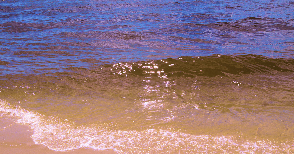 photo of brackish water